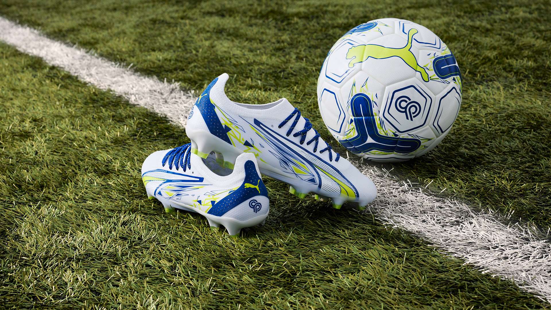 而沙欣的回 而沙欣的回