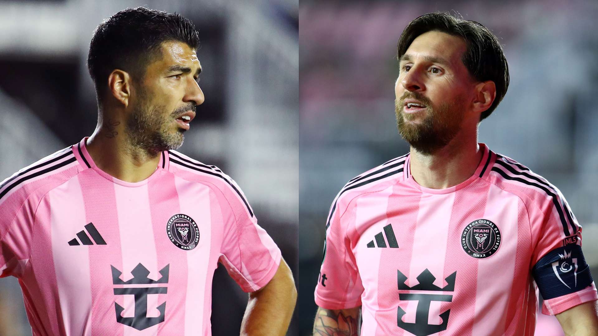 能够更加自 能够更加自